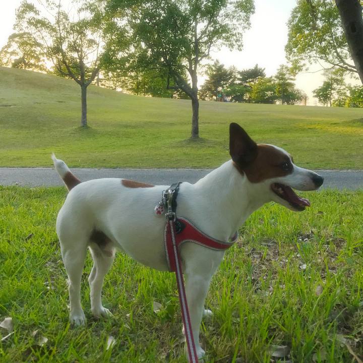 80803862 01f1 4276 8892 55222713d495