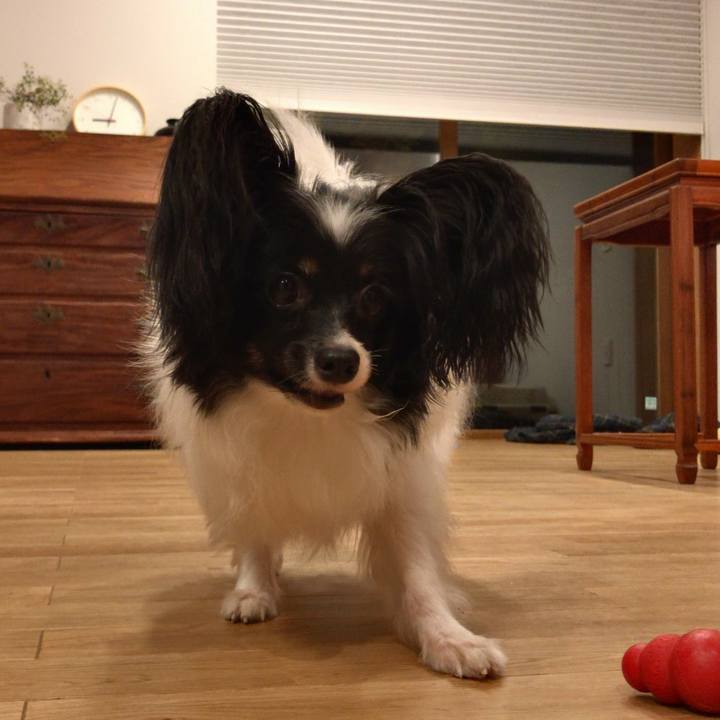 80803b07 485a 4c18 bfc5 0fd8c2a740b8