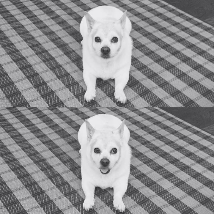 8080a249 b0b8 4113 b556 8f7b0d112d03