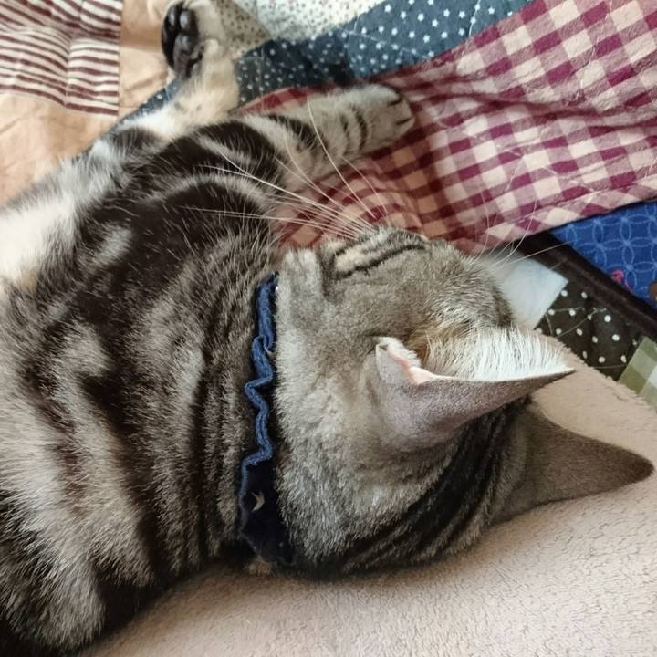 808156fd 5e74 4bf9 ab51 09c114633443