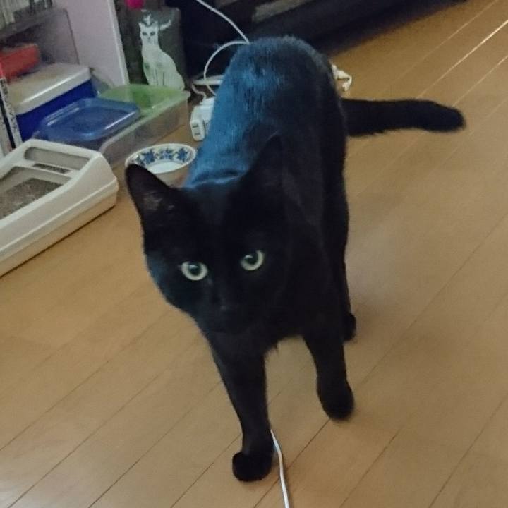 808172ff 7a7c 4dd2 82e5 6e2a95702dc9