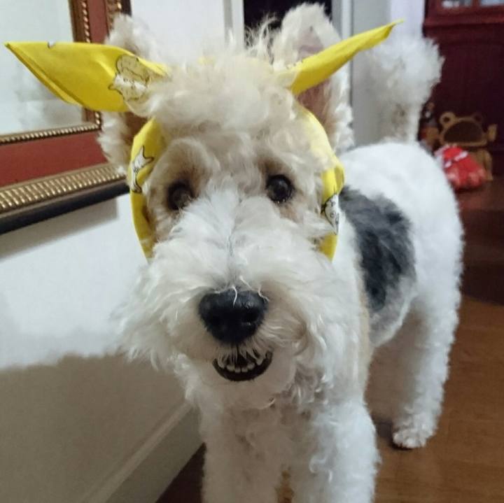 8081e957 acc5 4f1a 93b0 e73242b10b85