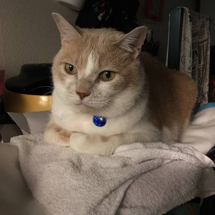 80820edf 6aa7 45d1 913f 4d2d69a06843