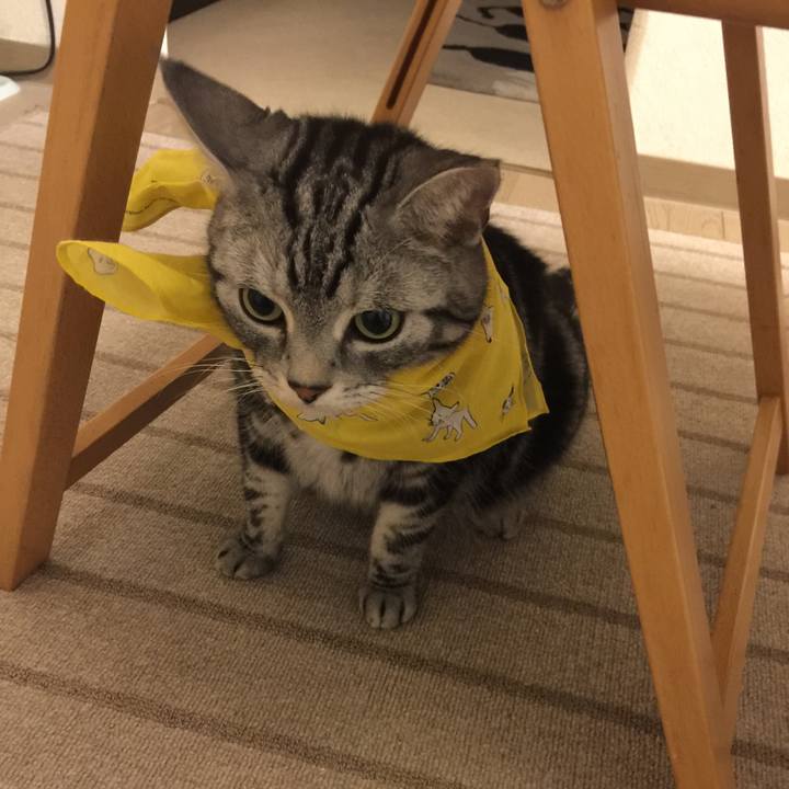 80828aba 1ac6 42fa a438 f9cee4b0148a