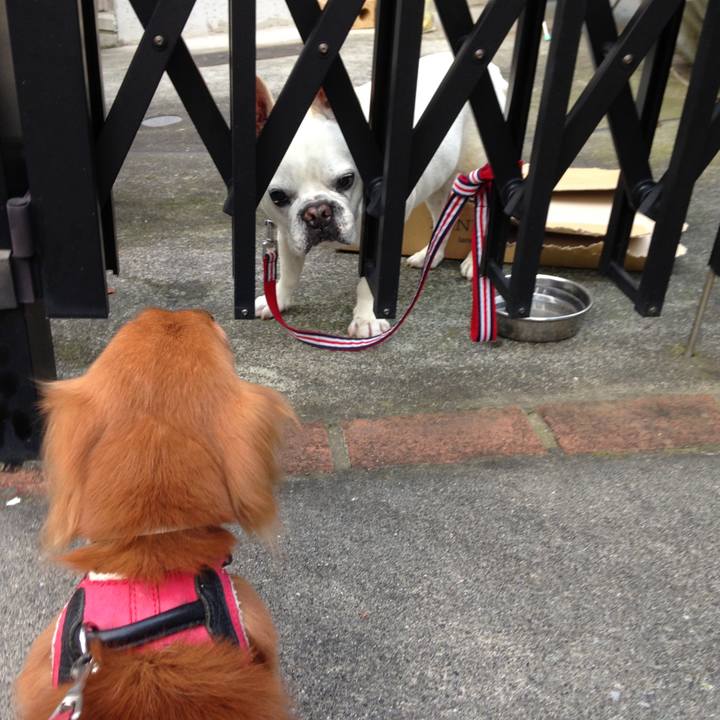 8082cc19 4458 42bb 9869 c5673101026b