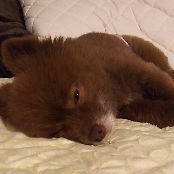 8082cfa5 31c4 49fe 8cab f844e8d42297