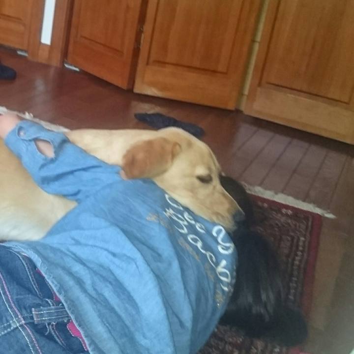 80831e39 d36b 4a35 91f1 c84c026c8f2a