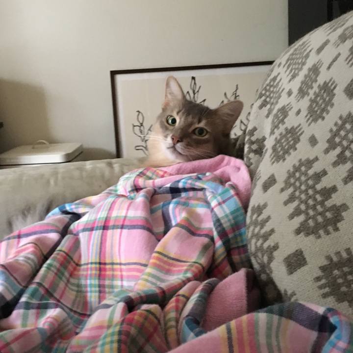 8083a88e be05 485b 997b 6bc78705d345