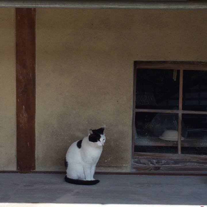 8084ab20 aab5 47aa b1e0 7e270263c497