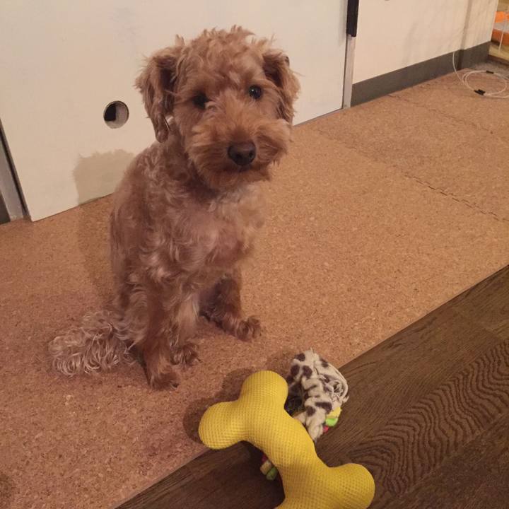 80854cea 7d96 417d bbb3 88110a416e13