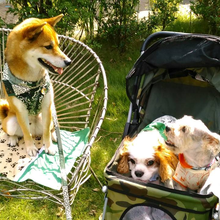 8085e1f6 fb37 4716 ab74 0b6119a63b1a