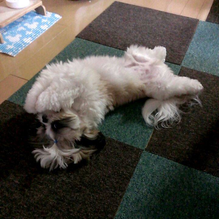 8086ca6d 3dc4 465a 823c 0845afb07882