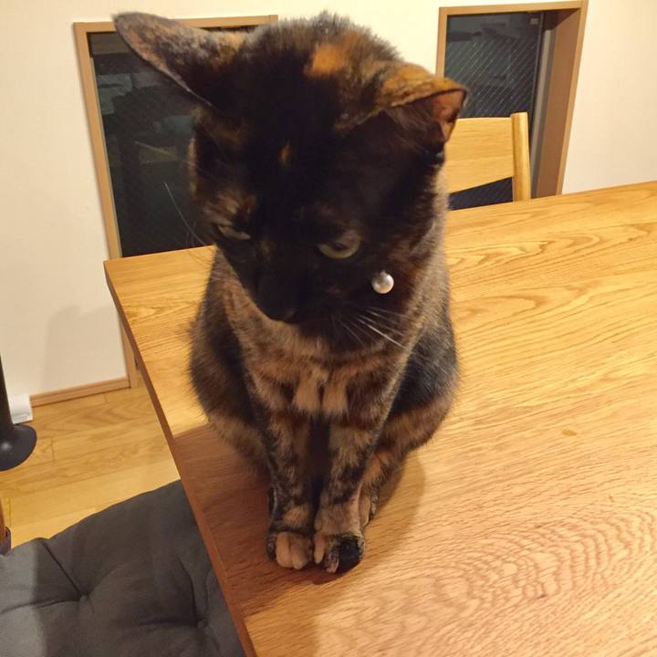 80875d97 cd74 4926 9017 c145d68849b8