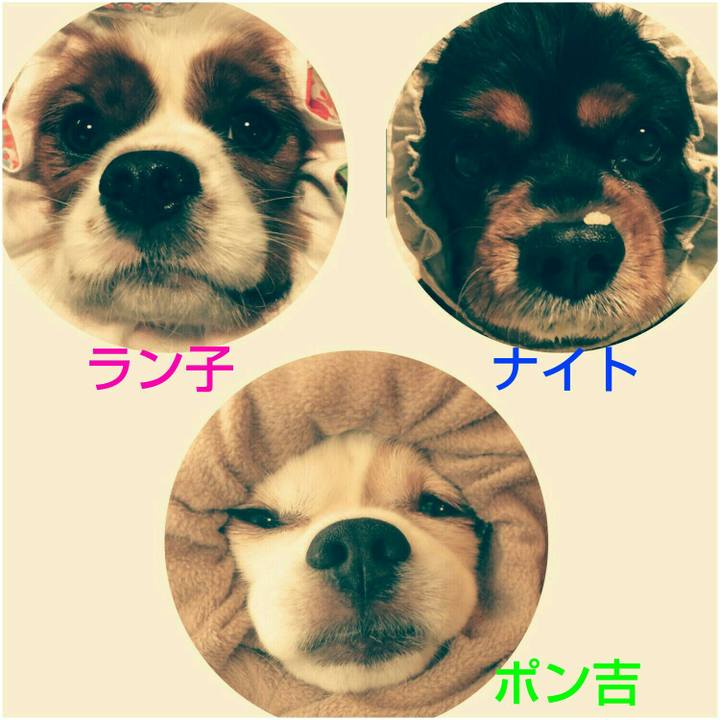 8087dba4 ac1c 4faa 9657 69a357a49b6c