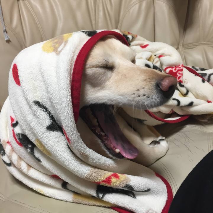 8087efb9 d1ea 41e5 8770 1836f318d482