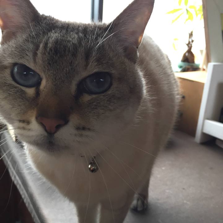 80880d34 904d 4eee 9022 7af6603c84d9