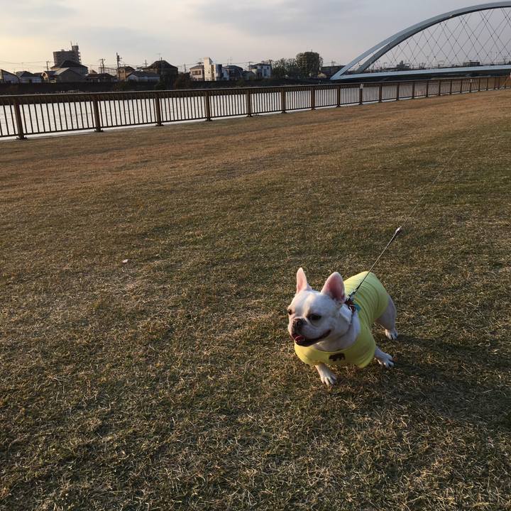 80888b80 d8df 436f 9cb3 aa086fcacf3a