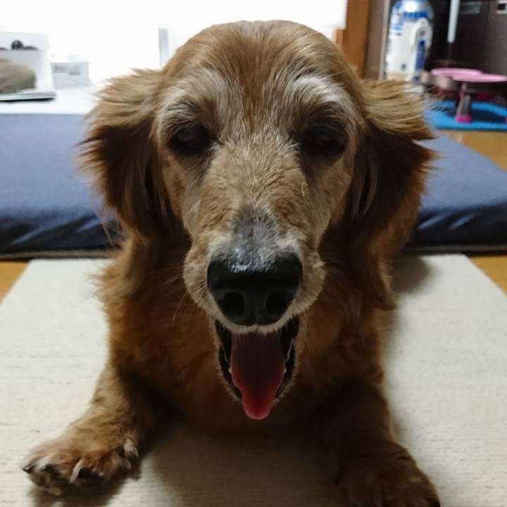 8088d62d b2db 45b7 8a55 66b70b5f767b