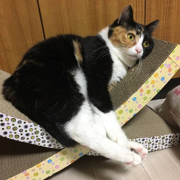 8089062a 478c 4e58 9acc 5c72997dcba9