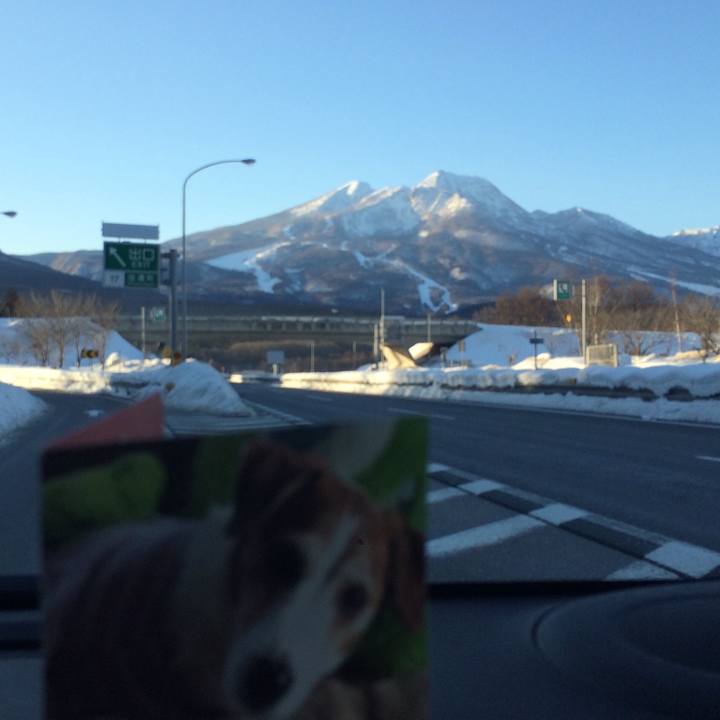 808a76b9 4c7d 4417 95e1 ca38b5ac36a5