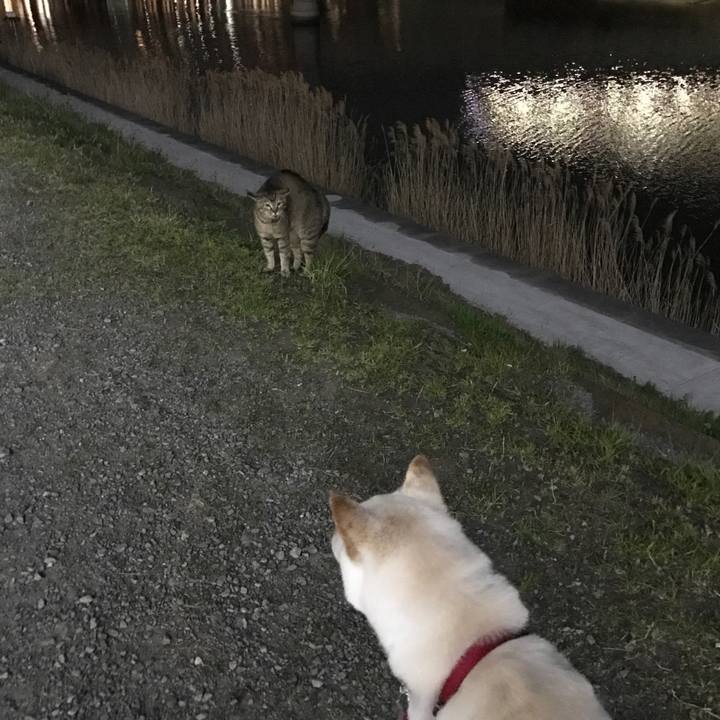 808b1e57 555b 4286 a52a d76ecd884668