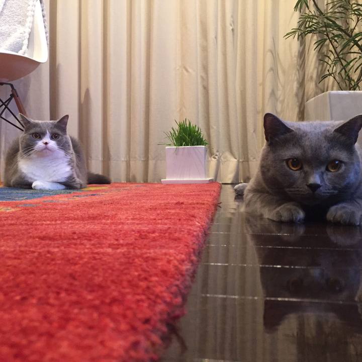 808bba71 0c78 4ea5 82c9 8882b9e72486