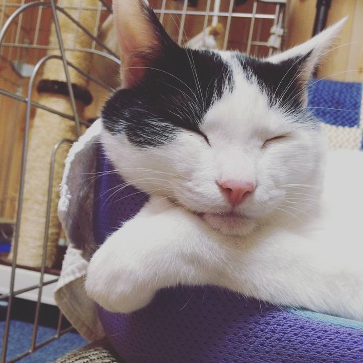 808bea5e 700c 482f 9346 fa00d2838ebd