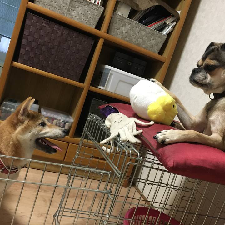 808cb10f c7ec 47bb 9673 ea3637776f09