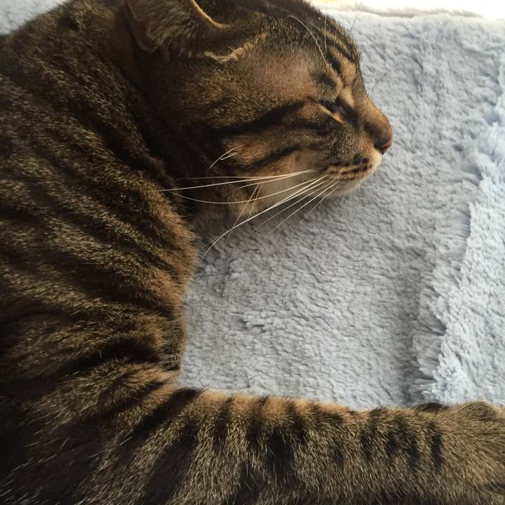 808cba3c dc4c 4bd2 9f32 2360739fac34