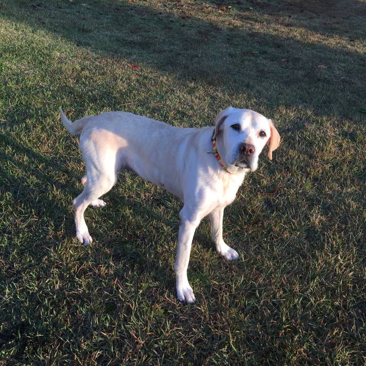 808cc457 e3fb 481b 9ed5 d150ece9f409