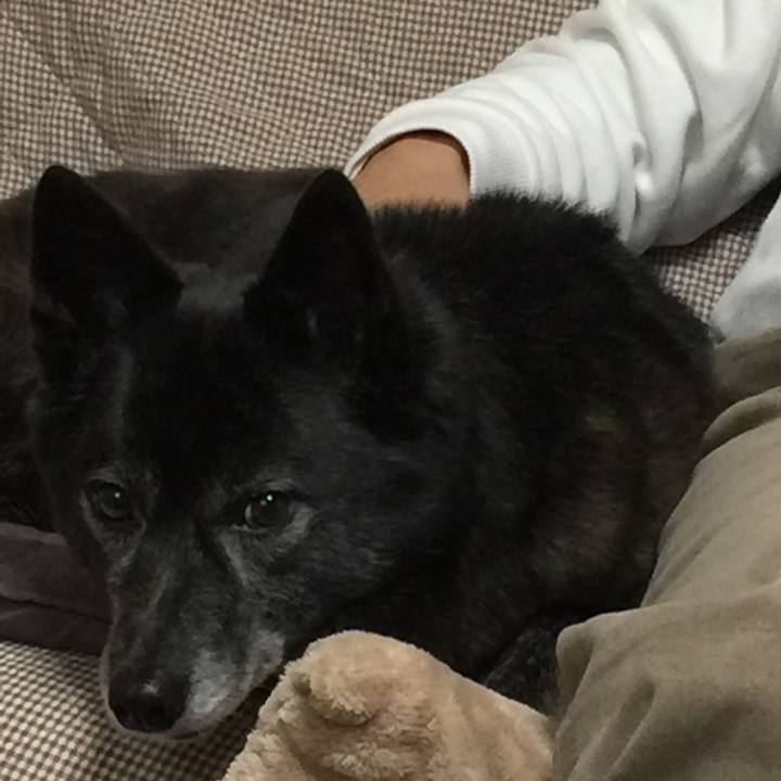 808cdd59 ab68 4f5c 8db1 ad45fb1067b8