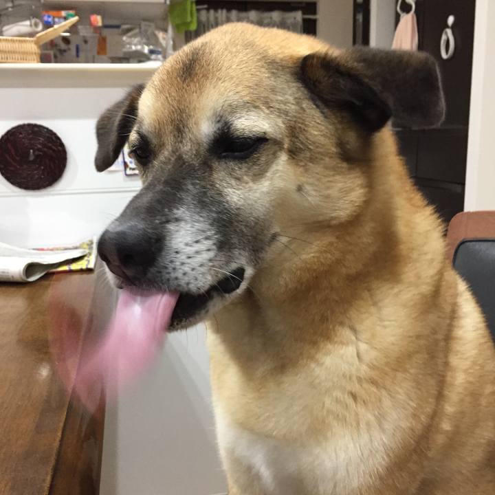 808ce315 7aea 4bbf a5d2 cf7275db0d3b