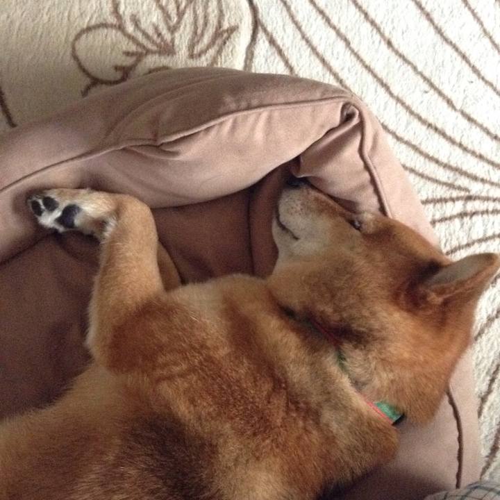 808cf499 bbd0 46f1 9020 8f8bdeec5fcb