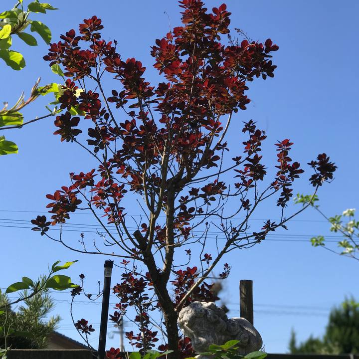 808d2339 282e 4613 8f06 92ff695ce1b9