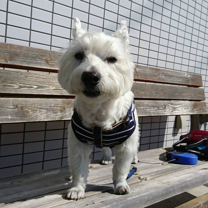 808db00c 8328 4d03 b6b0 f33164162aff