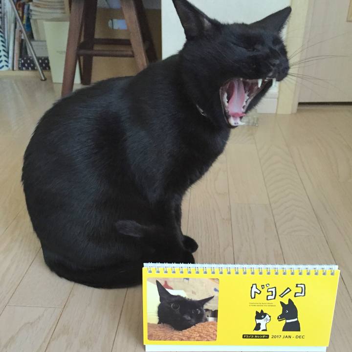 808df76f 2af0 4012 8b62 1ad83d20ed8a