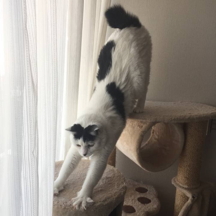 808f0384 3114 4f80 b089 7248b0924754