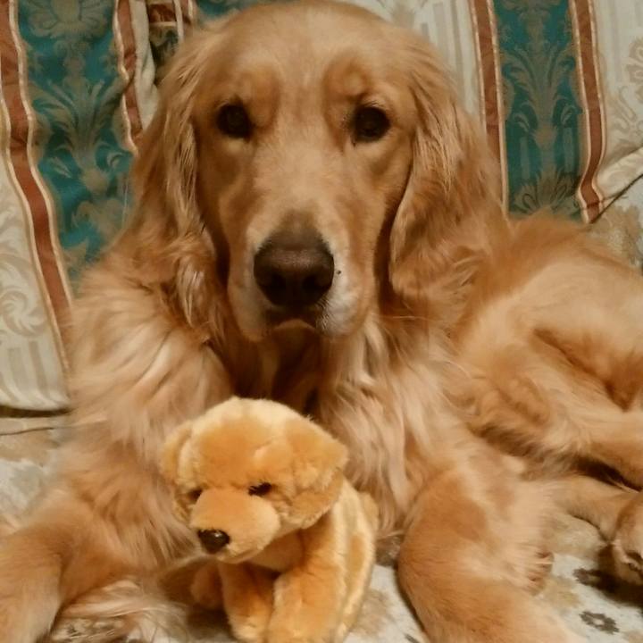 808f1676 672c 4393 95ad 6a6bfc51b6ef