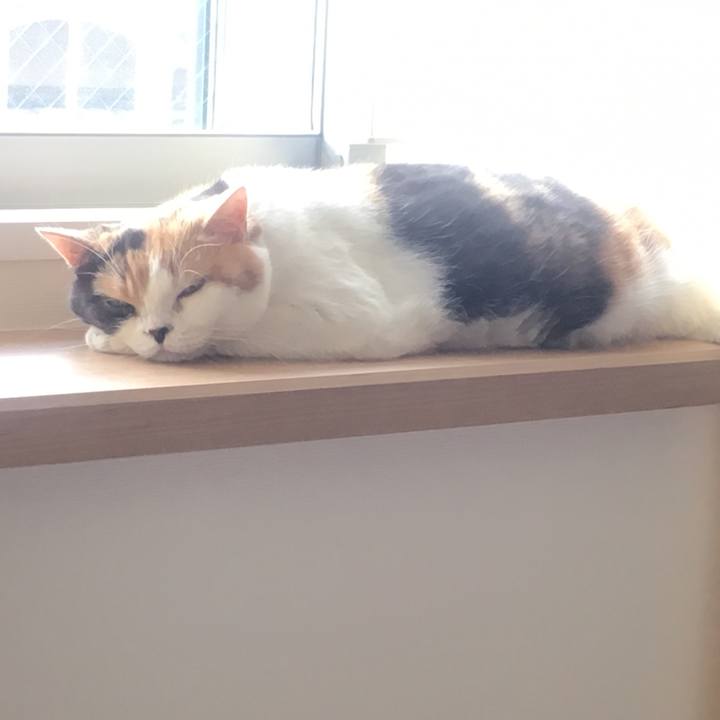 808f1b3b 554b 493d bcc1 06dce6489b5f