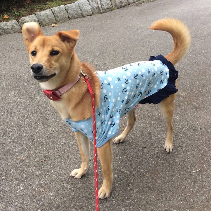 808f1ee7 64eb 4ef2 8bd5 3c8c12d12abc