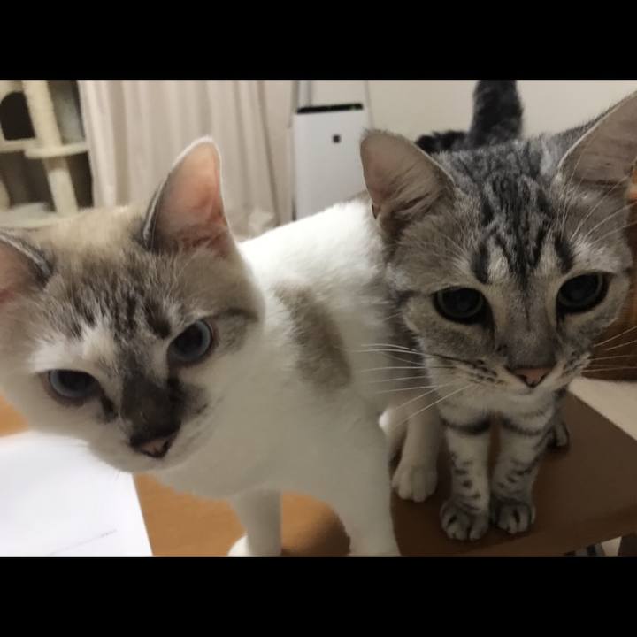 808f24d3 19ec 4a68 b115 4252786e6e4d