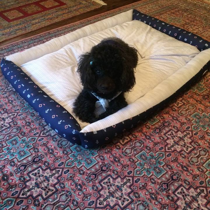 808f5987 7e9b 43a7 8c69 6f50fe819d0c