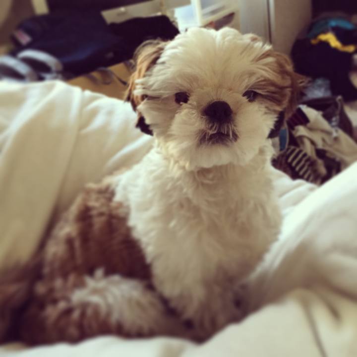 808fc50c 29c9 4832 8398 0b81233f90f5