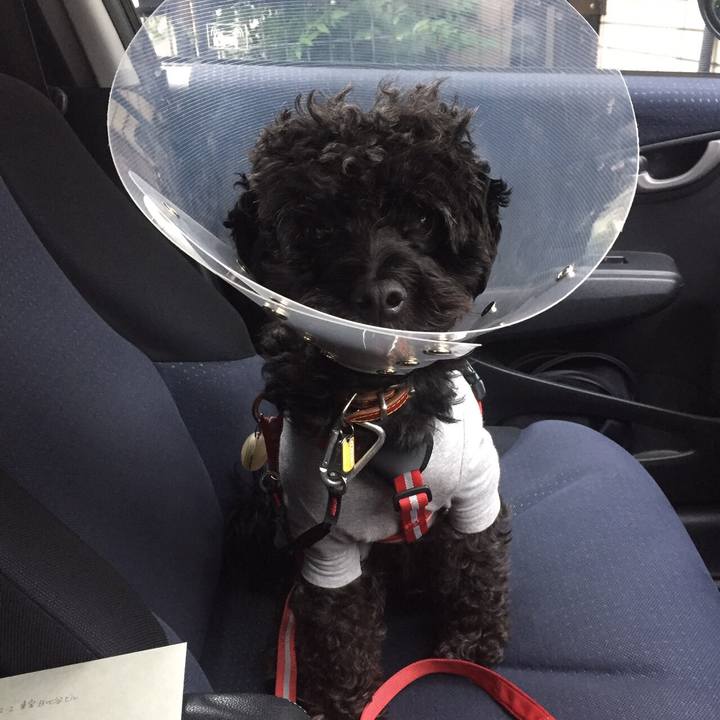 809047bb e128 4f68 ad24 b8f1d8d36cea