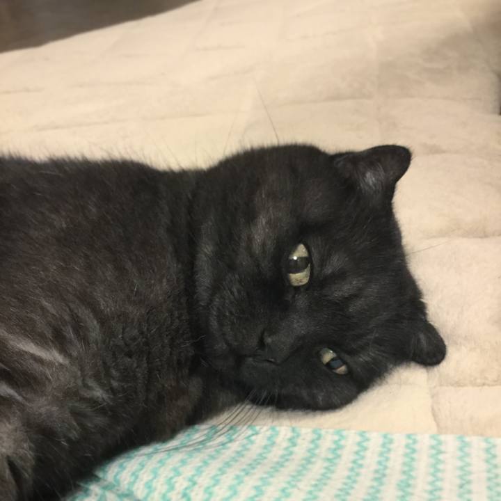 80905a28 0d72 4ed0 9f23 6d2cd5e509b6