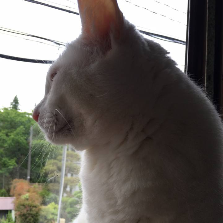 80907723 e06f 4179 8ccf f5f3b9af416f