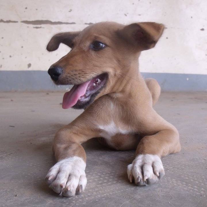 80909492 25d8 4630 9396 e6ee818add14