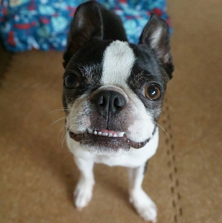 8090a514 4141 46b2 88f3 3b3848f8fc48