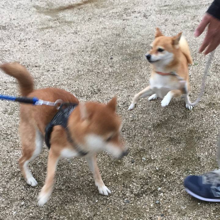 80910479 c92d 44bd b7cf 7f258365dad1