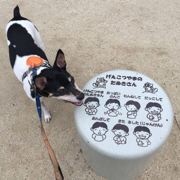 8091845f 86d6 4e81 92d3 bc5af0a402e4